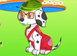 jeux filles chien habillage