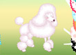 jeux filles relooking chien