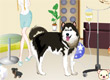 jeux filles decoration veterinaire